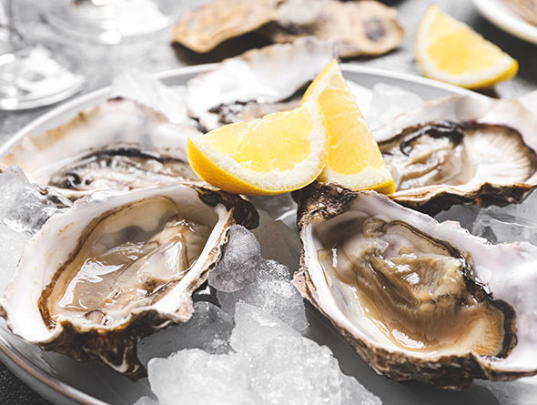 orleans big al's oyster bar image